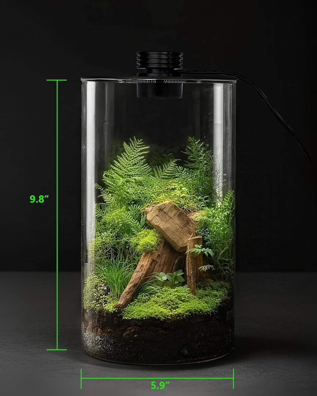 Стеклянный террариум для помещ – обзор и цена Home Office With Plants