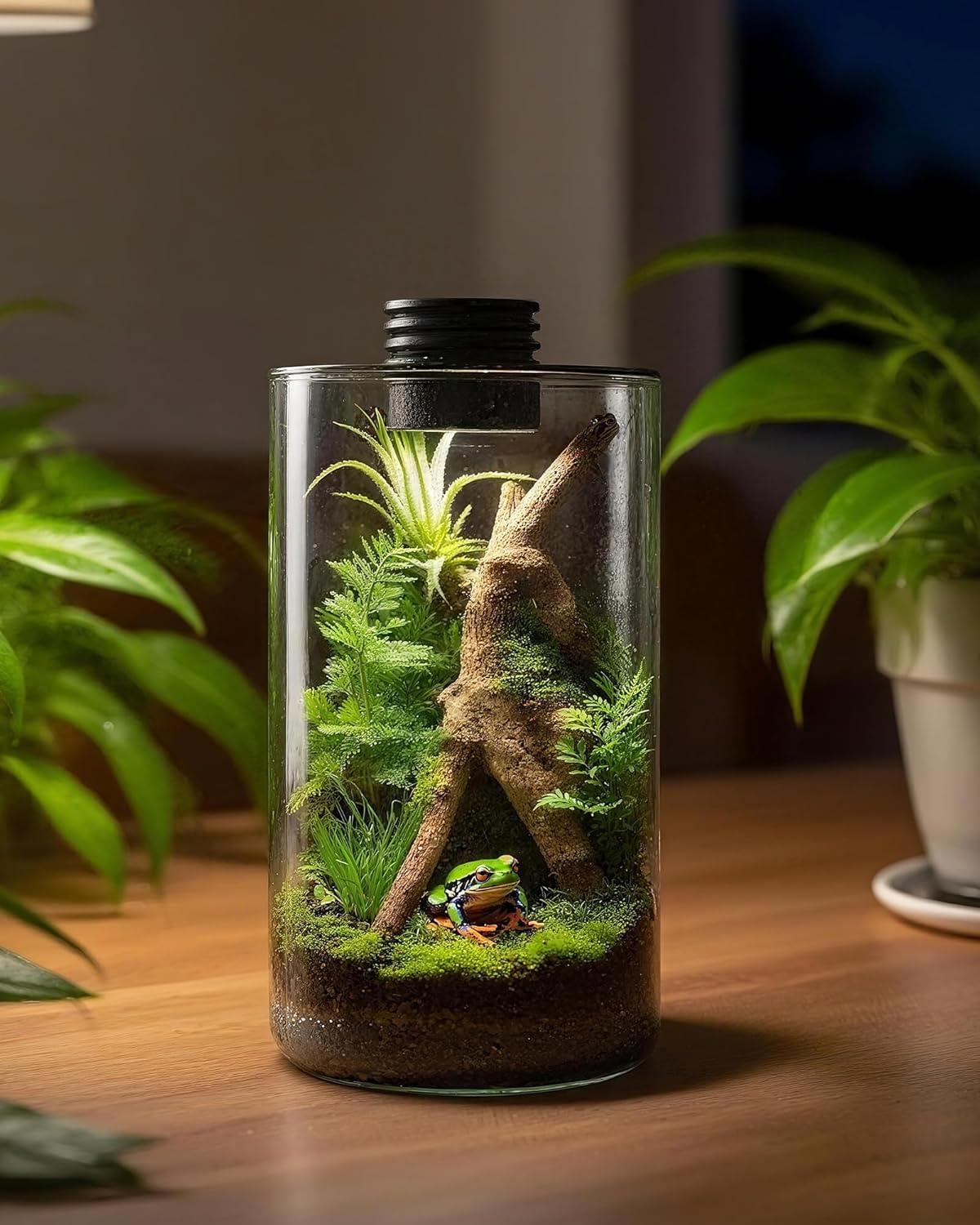 Стеклянный террариум для помещ – обзор и цена Home Office With Plants